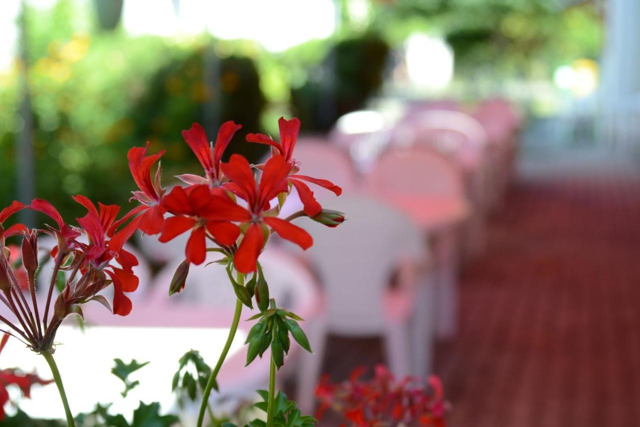 Bed and Breakfast Zoeld Zona Zamardi Ueduelo Exteriér fotografie